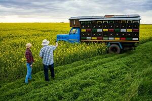 apicultores en pie en frente de el camión con colmenas foto