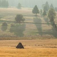 Scenic foggy view photo