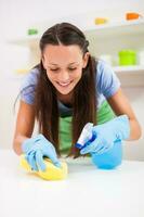 A woman cleaning the house photo