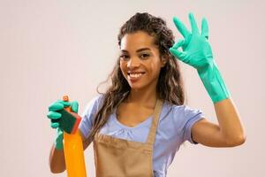 Portrait of a professional maid photo