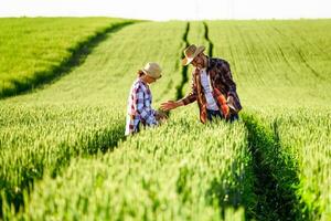 Man and woman are working together in partnership photo