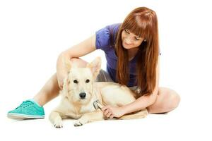 A woman grooming a dog photo