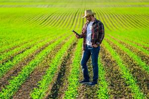 Man farmer is cultivating corn on his land photo