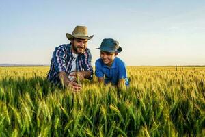 Father and son standing in a wheat field photo