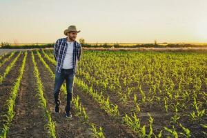 A farmer examining the crop photo