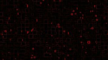 Animated binary red color abstract box pattern dark technology background video