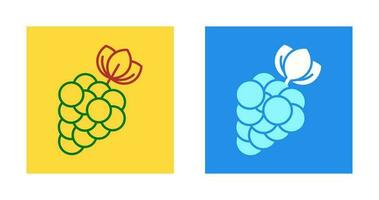 Berries Vector Icon