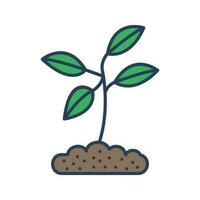 Plant Vector Icon