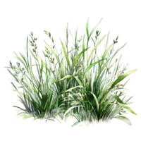 vattenfärg grön gräs. illustration ai generativ png