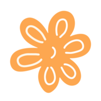 orange flower isolated png