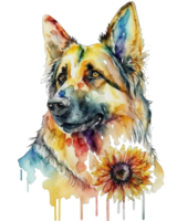 German shepherd dog with sunflower watercolor illustration, png