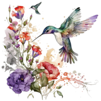 Hummingbird with flowers watercolor illustration, png