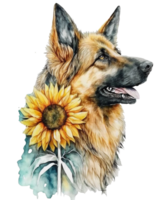 Deutsche Schäfer Hund mit Sonnenblume Aquarell Illustration, ai generativ png