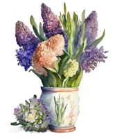 Hyacinth flower in a vase watercolor, png