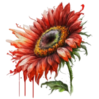 Red sunflower watercolor illustration, png