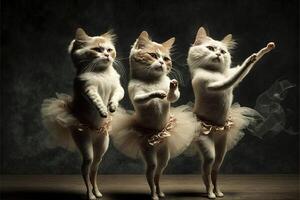 Ballerina cat dancer ballet illustration photo