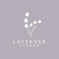 Lavender Logo, Simple Elegant Purple Flower Plant Vector, Greeting Card Design, Banner, Flower Ornament, Lavender Hand Drawn Wedding, Icon Symbol Illustration vector