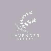 Lavender Logo, Simple Elegant Purple Flower Plant Vector, Greeting Card Design, Banner, Flower Ornament, Lavender Hand Drawn Wedding, Icon Symbol Illustration vector