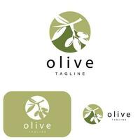 Olive Logo, Olive Oil Plant Vector, Natural Herbal Health Medicine Design, Illustration Template Icon vector