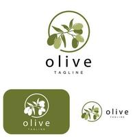 Olive Logo, Olive Oil Plant Vector, Natural Herbal Health Medicine Design, Illustration Template Icon vector