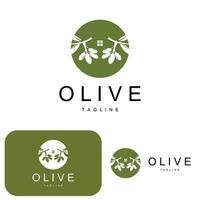 Olive Logo, Olive Oil Plant Vector, Natural Herbal Health Medicine Design, Illustration Template Icon vector