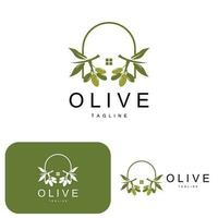 Olive Logo, Olive Oil Plant Vector, Natural Herbal Health Medicine Design, Illustration Template Icon vector