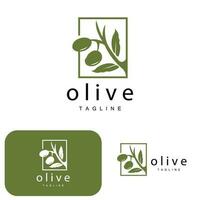 Olive Logo, Olive Oil Plant Vector, Natural Herbal Health Medicine Design, Illustration Template Icon vector