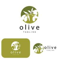 Olive Logo, Olive Oil Plant Vector, Natural Herbal Health Medicine Design, Illustration Template Icon vector