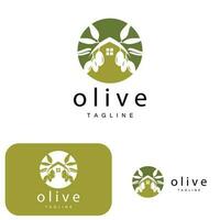 Olive Logo, Olive Oil Plant Vector, Natural Herbal Health Medicine Design, Illustration Template Icon vector