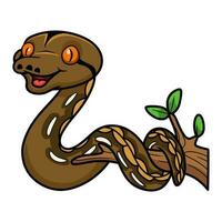 Cute tiger reticulatus python cartoon on tree branch vector