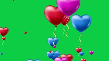 veelkleurig liefde ballon vliegend animatie groen scherm video, rood, roze en blauw hart vorm ballon vliegend chroma sleutel video
