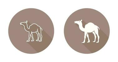 Camel Vector Icon