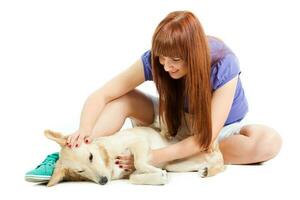 A woman grooming a dog photo