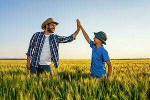 Father and son standing in a wheat field photo