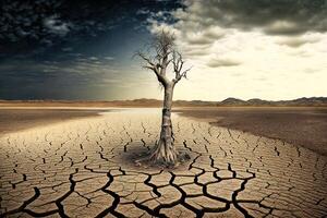 World Day To Combat, desertification and drought illustration photo