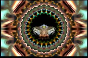 eagle Animal mandala fractal illustration photo