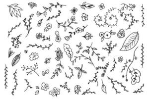 A set of doodle icon vector illustration collection of branch and twig design elements with flower bud leaves and petals