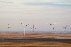 A field with wind turbines photo