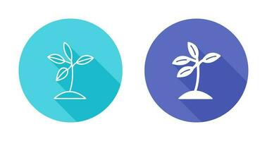 Plant Vector Icon