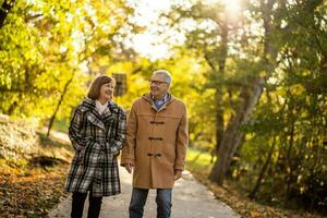 A senior couple spending time together in the park photo