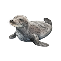 arktisk djur vattenfärg clipartpingvin, valross, val, fisk, narval, albatross. tecknad serie tecken arktisk och antarktisk djur ai generativ png