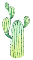 acquerello cactus clipart ai generativo png