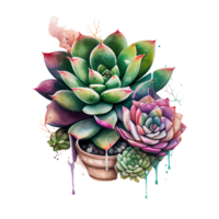 succulento clipart cactus natura pianta con spine e fiorire ai generativo png