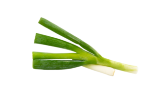 green onion leaf isolated element png