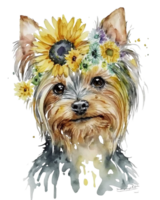 Aquarell Illustration von ein Yorkshire Terrier Hund mit Sonnenblume auf Kopf, ai generativ png