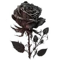 schwarz Rose Sublimation Aquarell Clip Art, ai generativ png