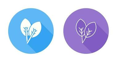 Leaf Vector Icon