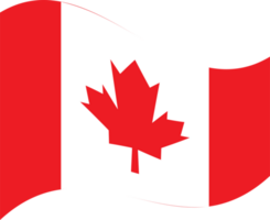 de esdoorn- blad symbool voor Canada dag concept png