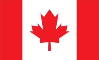 The maple leaf symbol for Canada day concept png