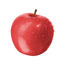 pomme rouge fraîche png